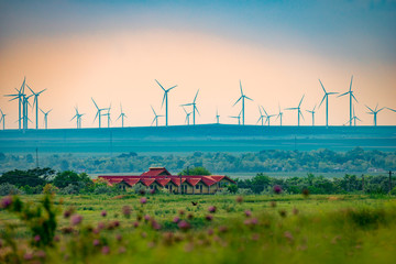 Wind turbines in the field