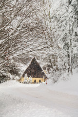 Turkey national park Abant, Bolu