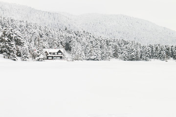 Turkey national park Abant, Bolu