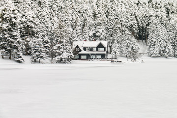 Turkey national park Abant, Bolu