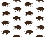 Fototapeta Pokój dzieciecy - Vector seamless pattern of wild american bison silhouette isolated on white background