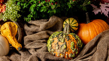 Thanksgiving Pumpkins With Flower On Burlap And Hay