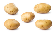 New Potato Isolated On White Background Close Up