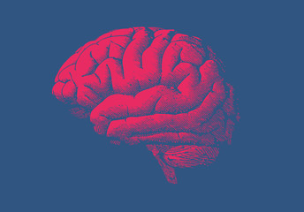 red engraving human brain on dark blue bg