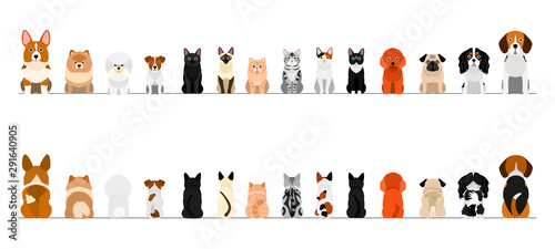 Cuadros en Lienzo small dogs and cats border border set, full length, front and back