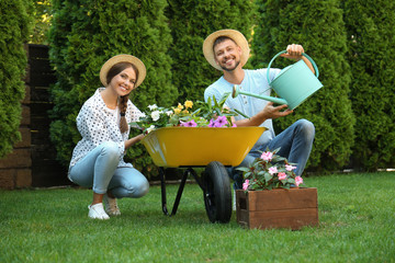 Happy couple working together in green garden