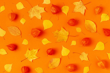 Wall Mural - Autumn leaves on an orange background