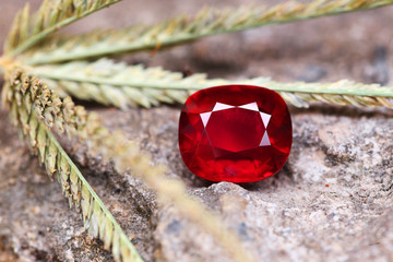 Poster - Red Gem Art and Decoration Gemstone RED RUBY