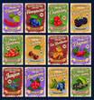 Natural berries vector cards with price tag