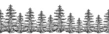 Dark Black Silhouette Panorama Of A Coniferous Forest. Seamless Border Watercolor Spruce Or Pine. Linear Pattern Of Cedar, Larch. On White Isolated Background. Detailed Forest Background