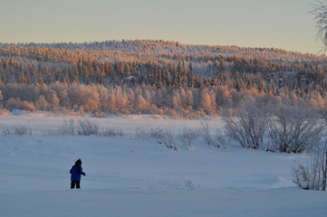 Wall Mural - Panoramic view of winter arctic snow covered forest under the sunset lights and boy playing with the snow. Midnight sun in Lapland, Finland