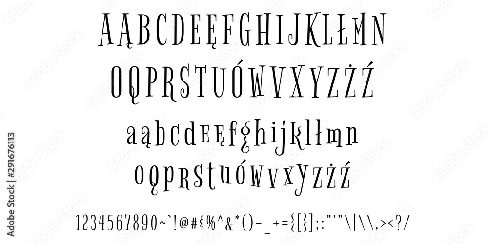 Vetor Calligraphic Vintage Handwritten vector Font for Lettering ...