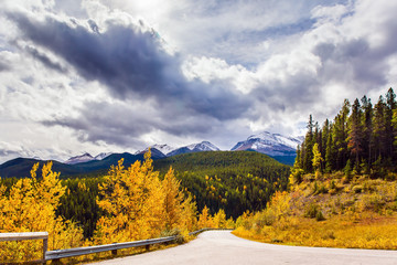 Poster - Road to Miette Springs