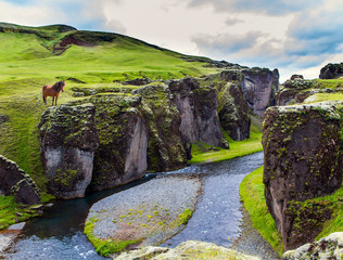 Poster -  The sheer cliffs covered with green moss