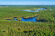 Aerial view of Karelian wild taiga and lakes