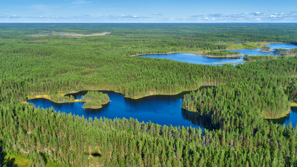aerial view of karelian wild taiga and lakes