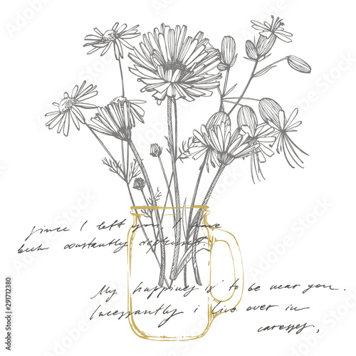 Tansy and Chamomile. Bouquet of hand drawn flowers and herbs. Botanical plant...