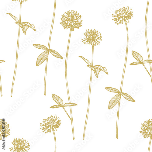 Clover plants. Botanical illustration. Good for cosmetics, medicine, treating...