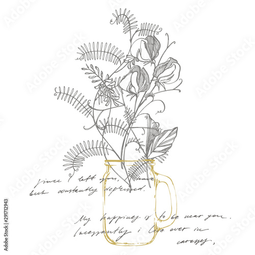 Sweet pea flowers drawing and sketch with line-art on white backgrounds. Flor...