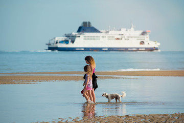 Poster - beautiful girl and her mom walking on the beach with her dog