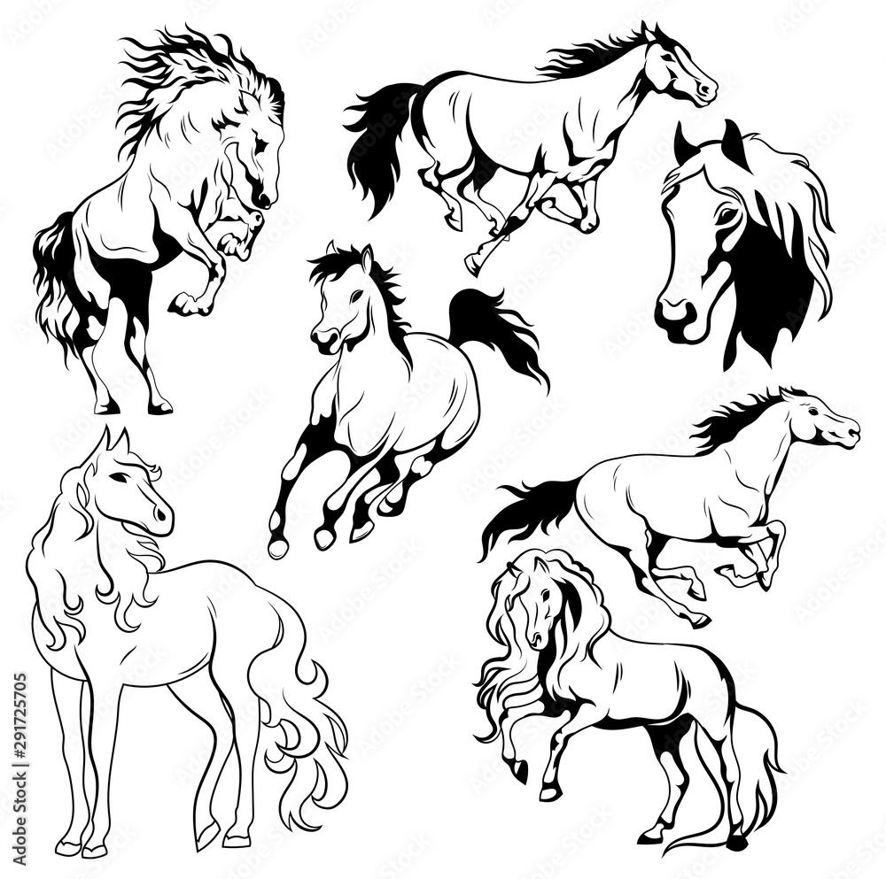 Wild Horses Herd Art Print by Simone Gatterwe - Fine Art America, image size:1000x993