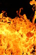 © Elijas - fire on black background
