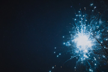 Wall Mural - holiday fireworks holiday concept on the black sky