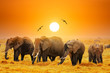 Artistic fantastic african sunset landscape. African elephants in Amboseli National Park. Kenya, Africa at a sunset.