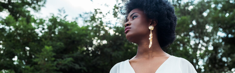 panoramic shot of beautiful and curly african american girl