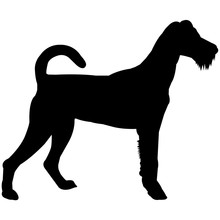 Irish Terrier  Silhouette Vector