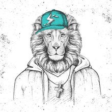 Hipster Animal Lion Dressed In Cap Like Rapper. Hand Drawing Muzzle Of Lion