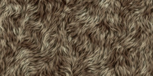 Seamless Texture Of Fur