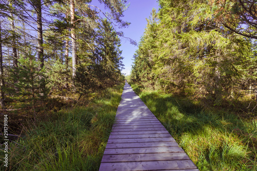 Cuadros en Lienzo Wooden footpath, hiking trail, nature reserve Wildseemoor, Kaltenbronn, Gernsbac