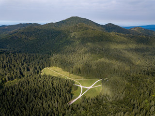 Canvas Print - Vertical aerial view of spruce and fir forest (trees) and meadow, Slovenia.