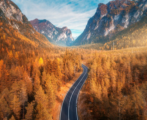 Wall Mural - aerial view of the mountain road in beautiful autumn forest at sunset. top view of asphalt roadway, 