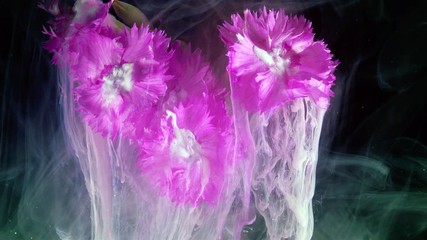 Wall Mural - Pink Carnation Flowers Bouquet. Acrylic colors and ink in water.