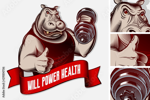 Muscled animal hippo makes exercise with dumbbell, shows thumbs up Poster Mural XXL