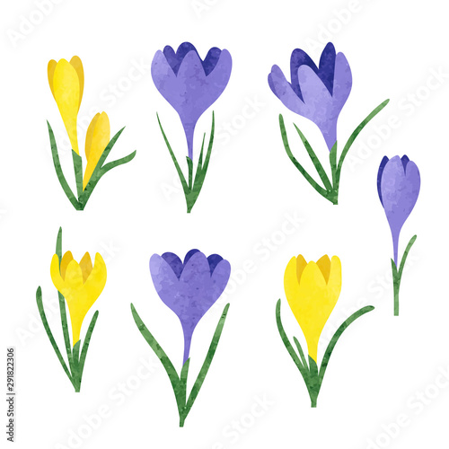 Set of yellow and purple wa...
