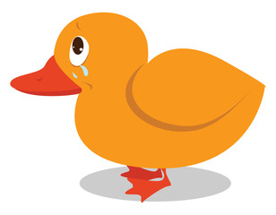 Poster - Crying duck, illustration, vector on white background.