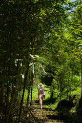 Canvas Print - woman hiking in the forest at Xitou