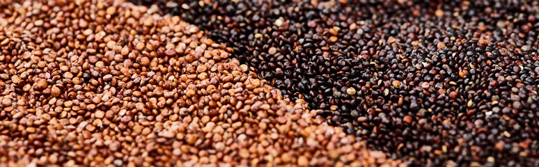 panoramic shot of roasted buckwheat and black quinoa