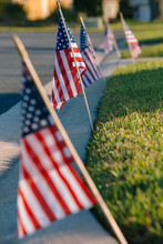 American Flags On Lawn.