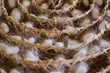 © Alita Ong/Stocksy - Silk worm cocoons in bamboo basket
