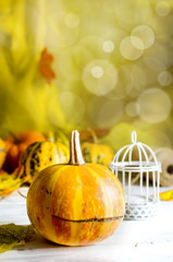 Wall Mural - autumn abstract still life with Decorative Mini pumpkins with fall dried leaves, candle on dark  background, autumn Happy thanksgiving concept, autumn holiday card design, copy space