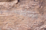 Fototapeta Desenie - stone texture , rock surface , boulder skin