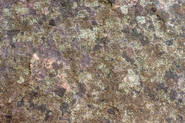 Wall Mural - texture of stone