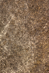 Wall Mural - stone wall texture