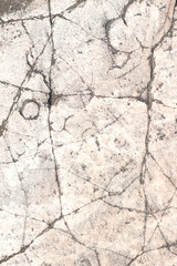 Wall Mural - cracked earth texture