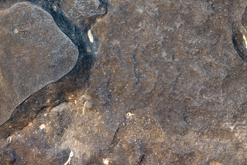 Wall Mural - texture of old wall