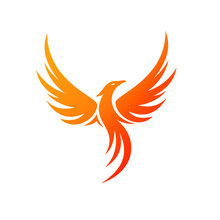 Charming Illustration Phoenix Logo Concept